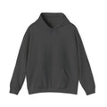 Believe in Ghosts Hoodie, Ethereal Phantom Funeral Coach Graphic Hoodie