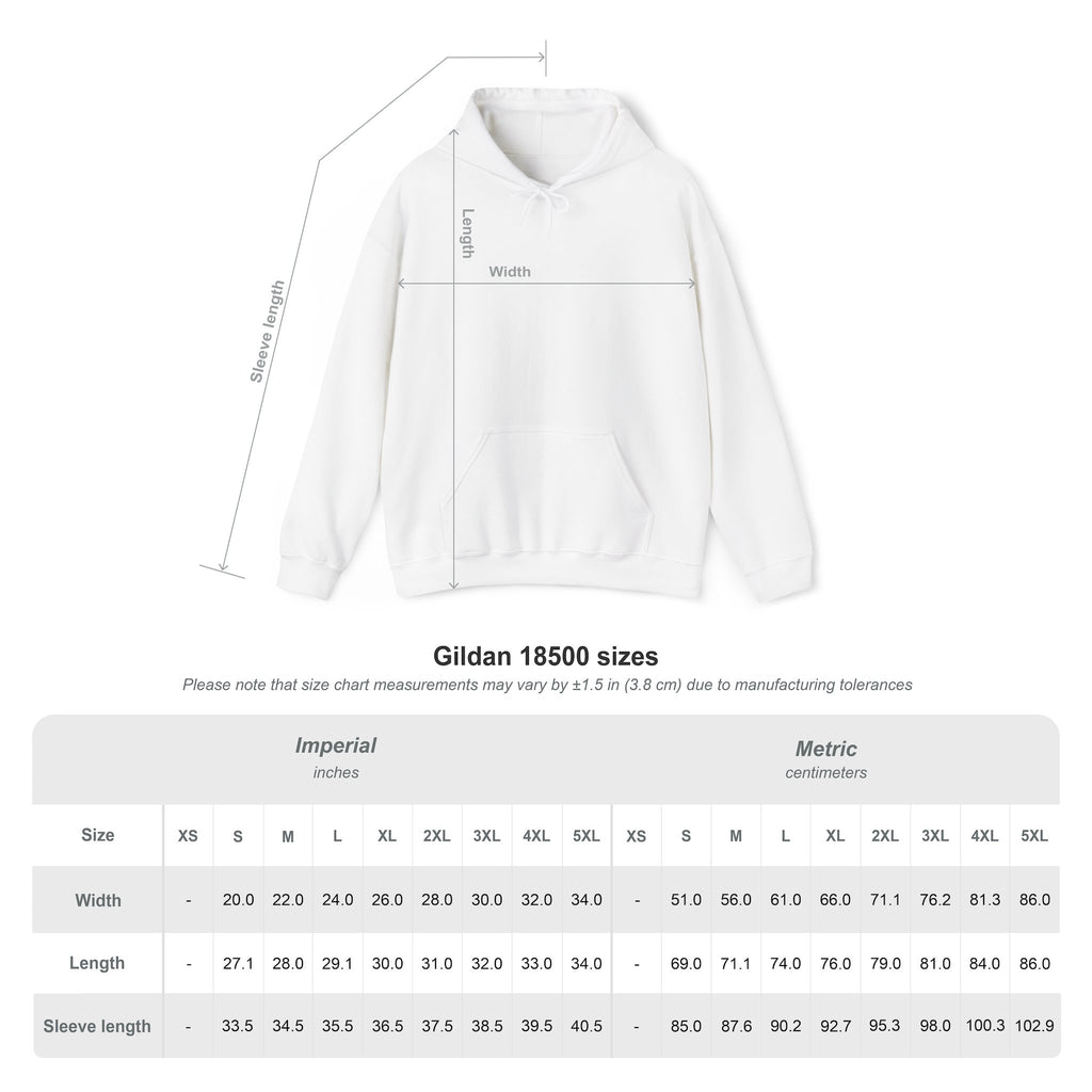 Believe in Ghosts Hoodie, Ethereal Phantom Funeral Coach Graphic Hoodie