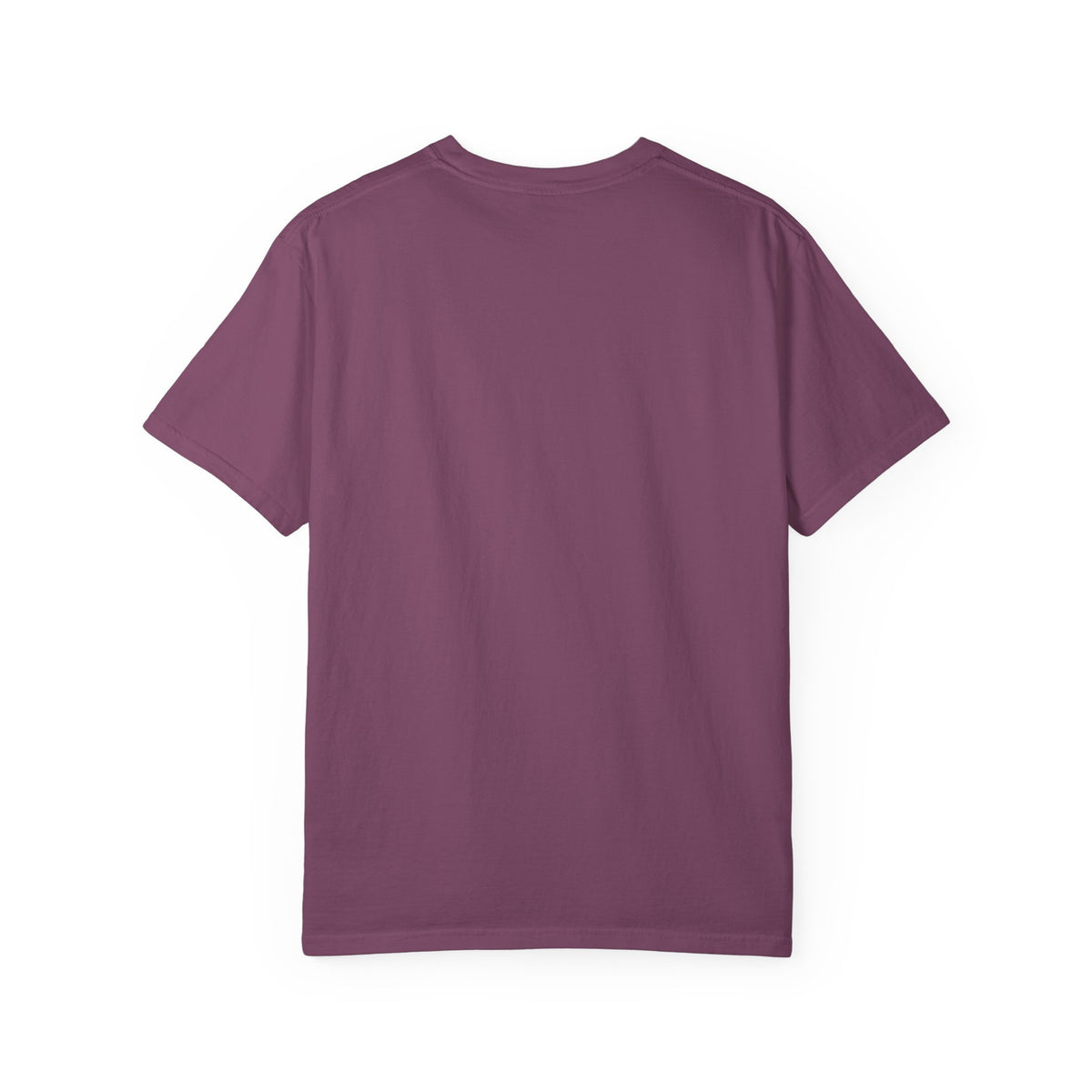 Do You Believe in Ghosts? Phantom Funeral Coach Graphic T-Shirt