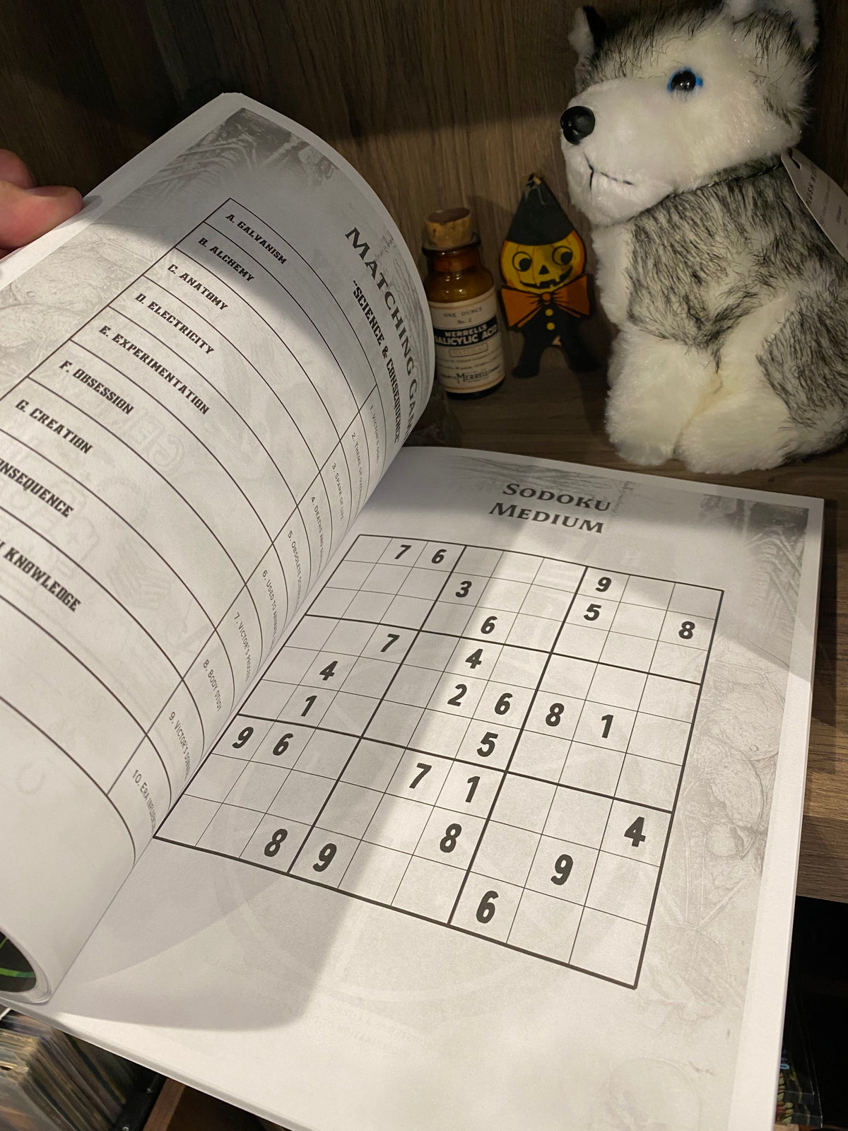 Frankenstein Puzzle Book, 90+ Frank-en-puzzles