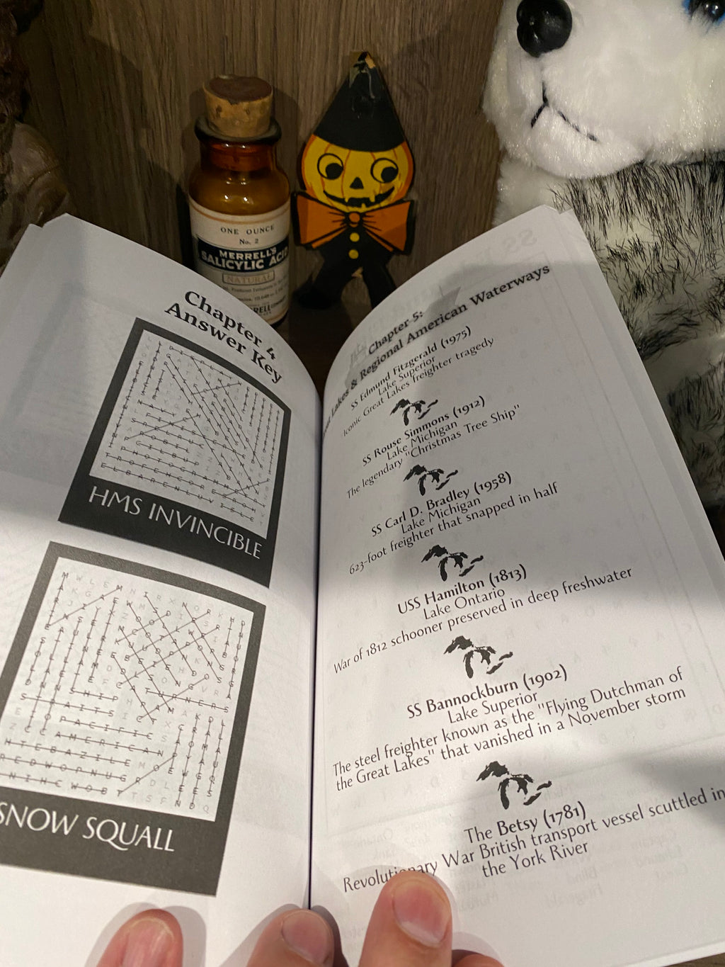 Legendary Shipwrecks Word Search Puzzles