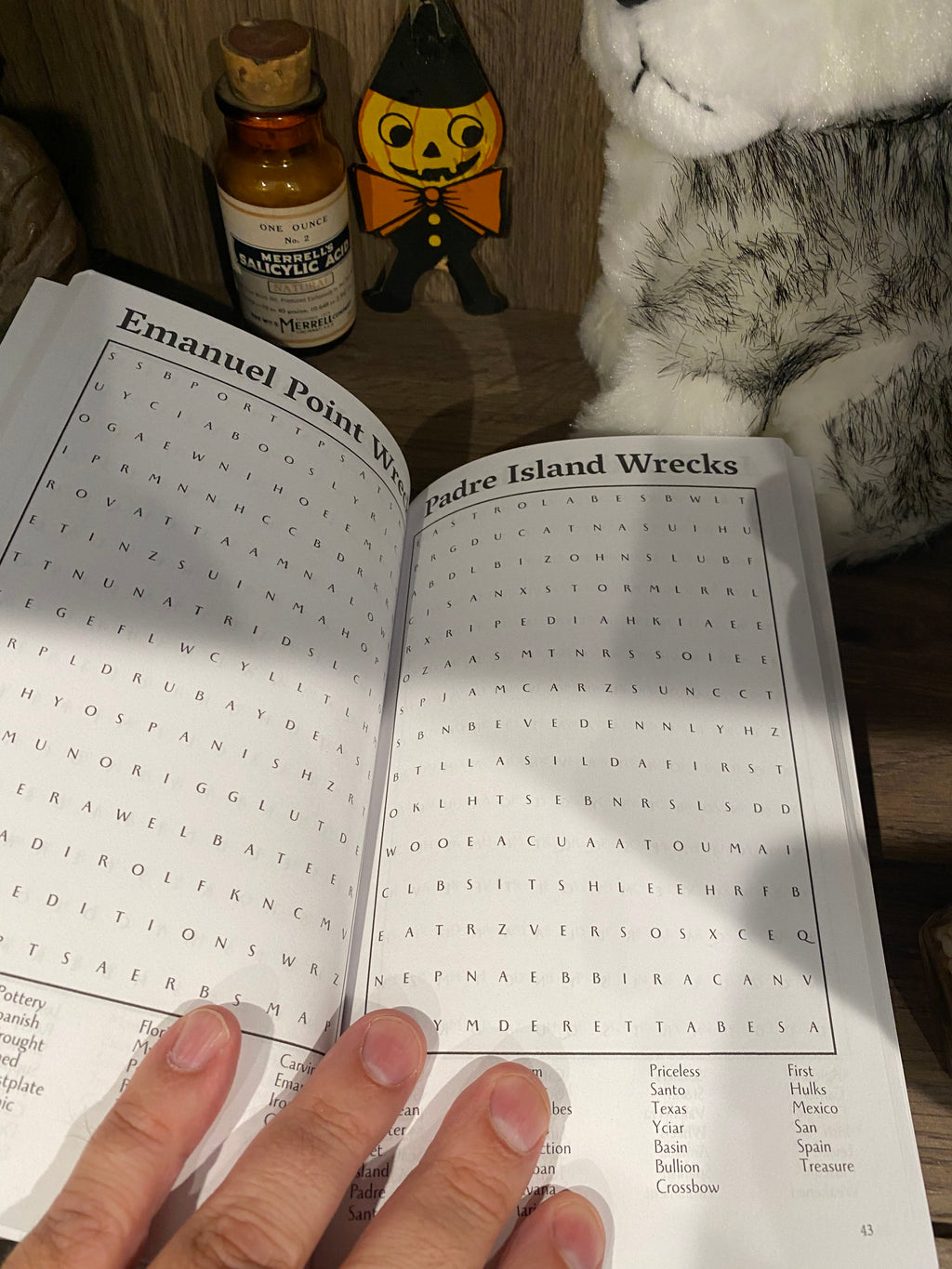 Legendary Shipwrecks Word Search Puzzles