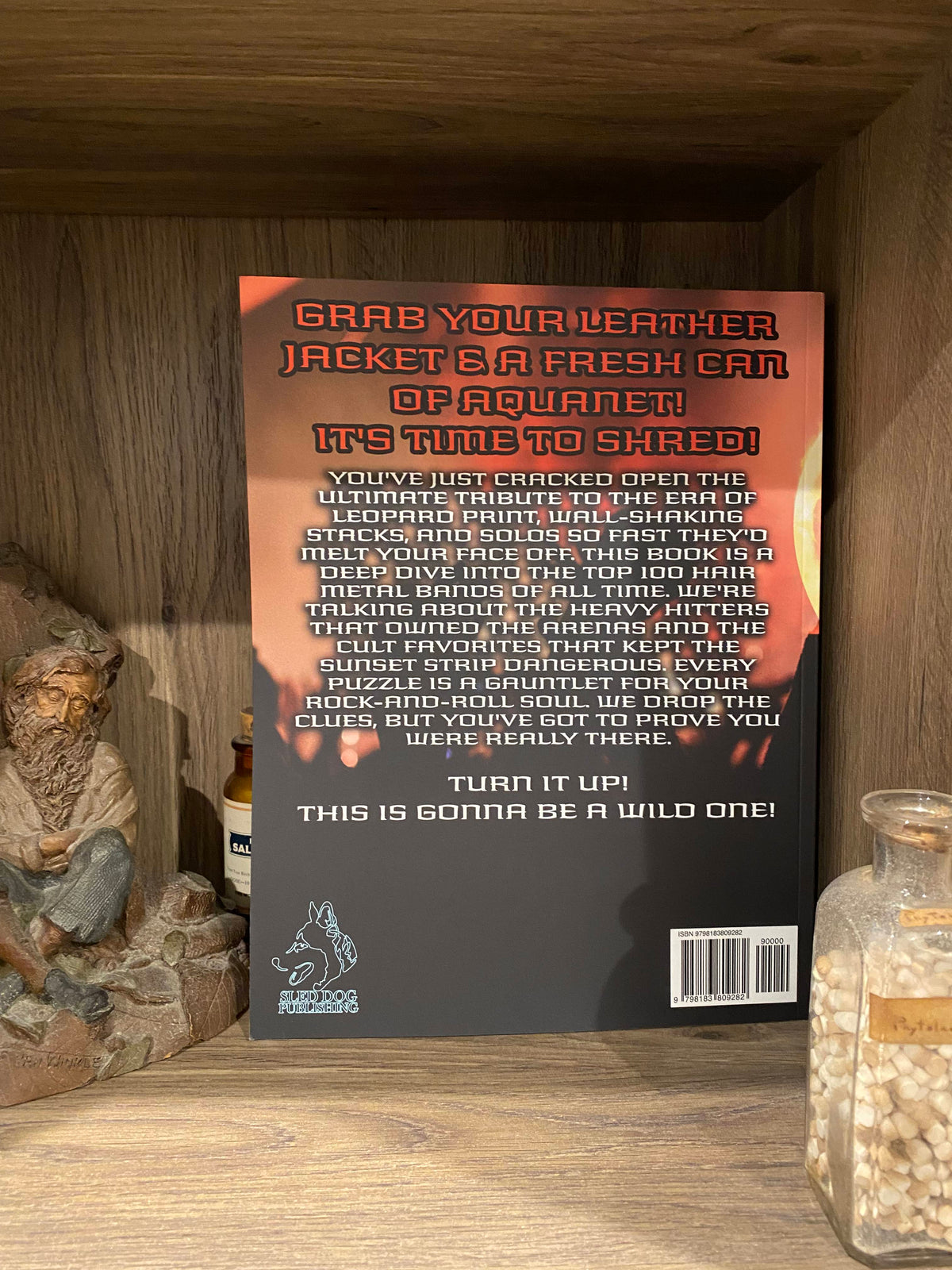 Hair Metal Puzzle Book – Name That Band: Hair Metal Edition by Mr. S. Husky – Paperback